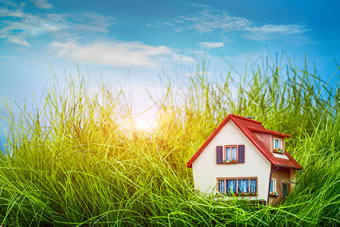 Mortgage & Protection Web design