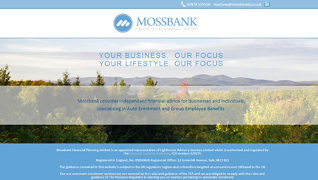 Financial Planner Website Design